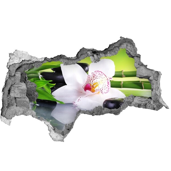 Samolepiaca diera na stenu nálepka Kvetinová oáza pokoja