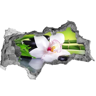 Samolepiaca diera na stenu nálepka Kvetinová oáza pokoja