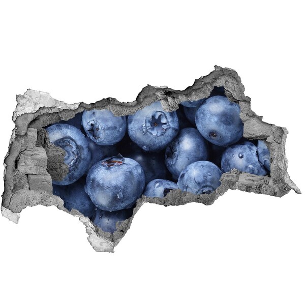 Nálepka 3D diera betón Bobule v betóne