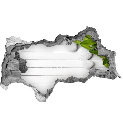 Samolepiaca diera na stenu nálepka Zelená oáza v betóne