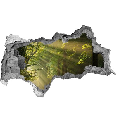 Nálepka fototapeta 3D výhľad Lesná oáza svetla