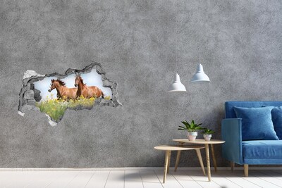 Diera 3D fototapeta Kone na lúke