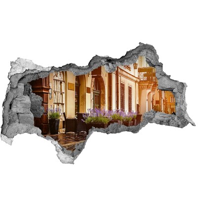 Fototapeta diera na stenu 3D Očarujúci kútik s levanduľou