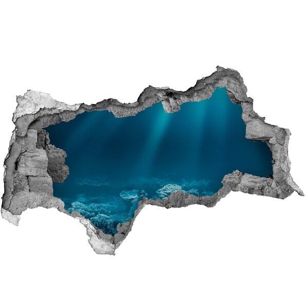 Nálepka fototapeta 3D na stenu Podvodný svet koralov