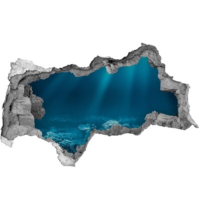 Nálepka fototapeta 3D na stenu Podvodný svet koralov