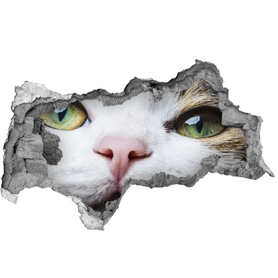 Diera 3D fototapeta nálepka Mačka v stene