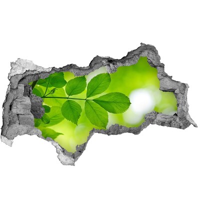 Samolepiaca diera na stenu Zelená oáza v betóne