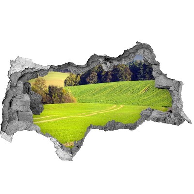 Nálepka fototapeta 3D výhľad Zelená lúka za múrom