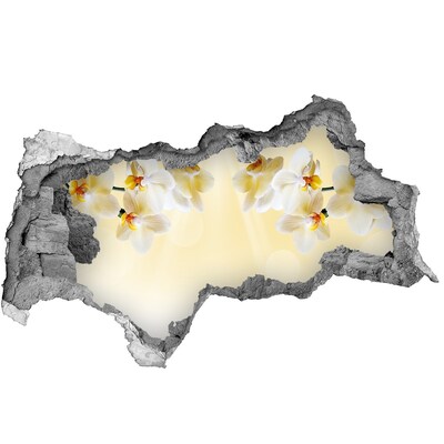 Samolepiaca diera na stenu nálepka Kvetinová oáza za múrom