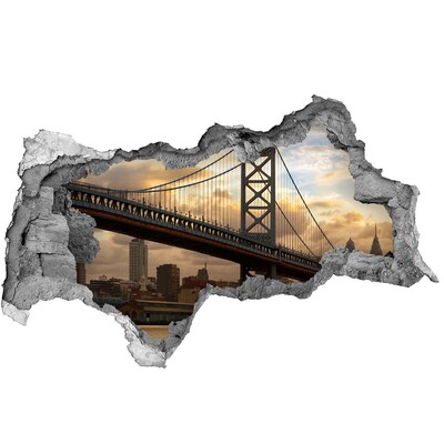 Fototapeta diera na stenu 3D Bridge philadelphia