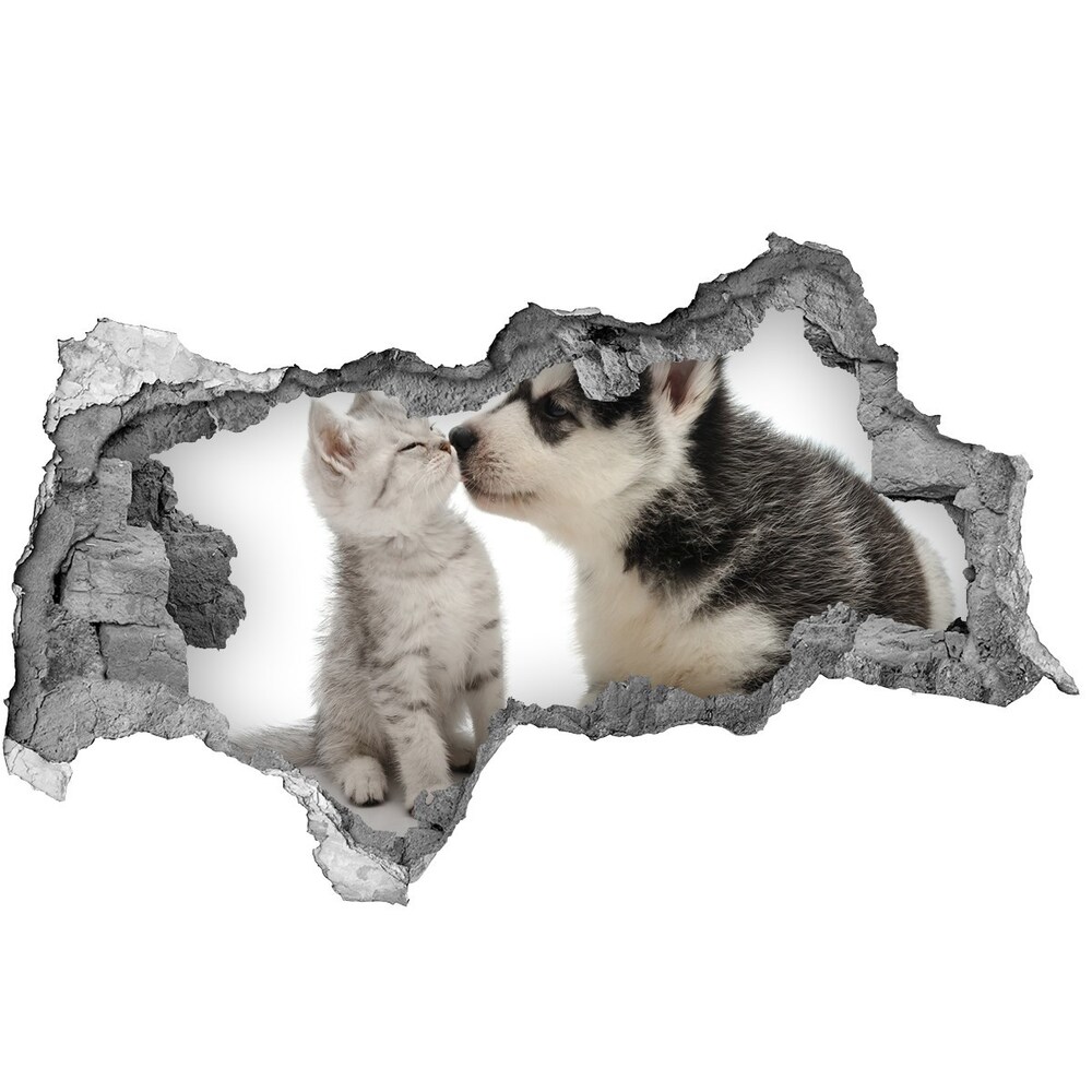 Diera 3D fototapeta nálepka Pes a mačka