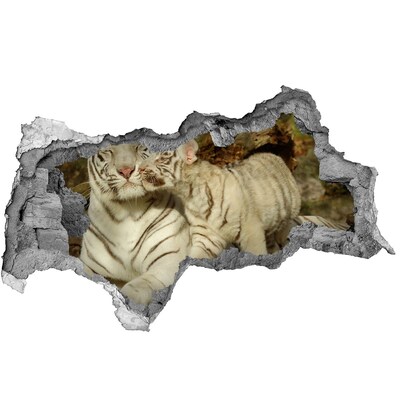 Diera 3D fototapeta nálepka Tigers