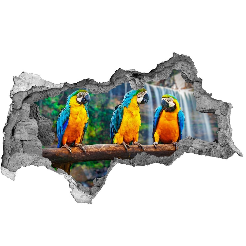 Diera 3D fototapeta nálepka Papagáje na vetve