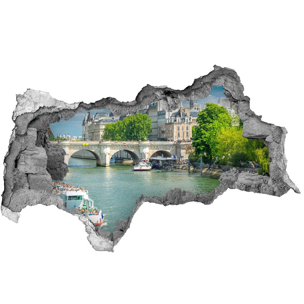Fototapeta diera na stenu 3D Seine v paríži