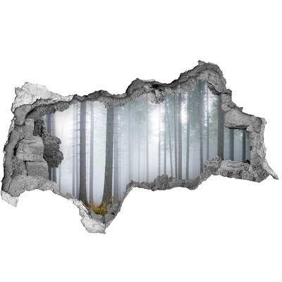 Nálepka fototapeta 3D výhľad Hmlistý les