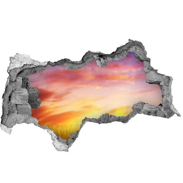 Nálepka fototapeta 3D výhľad Západ slnka nad lúkou