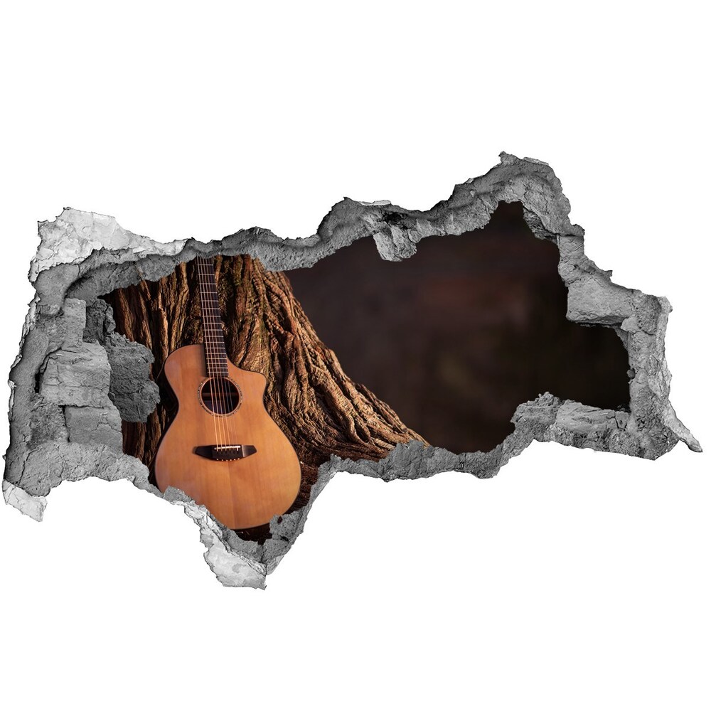Fotoobraz diera na stenu Akustická gitara