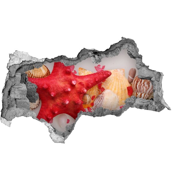 Diera 3D fototapeta Podvodný svet s mušľami