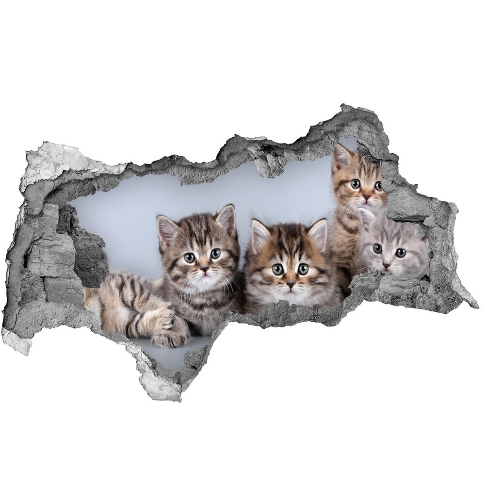 Diera 3D fototapeta nálepka Päť mačiek