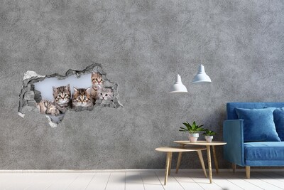Diera 3D fototapeta nálepka Päť mačiek