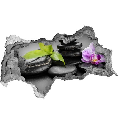 Samolepiaca diera nálepka Relaxačný výhľad s kameňmi a rastlinami