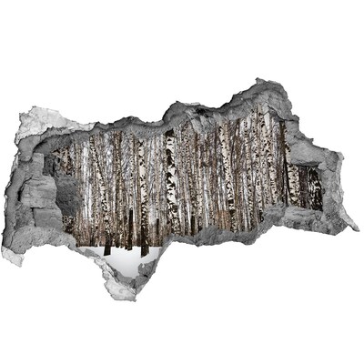 Nálepka fototapeta 3D výhľad Zimný brezový les