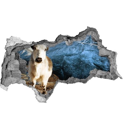 Diera 3D fototapeta nálepka Horský byvol v diere v stene