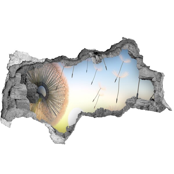 Samolepiaca diera nálepka Púpavy na pozadí západu slnka