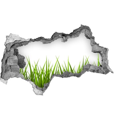 Samolepiaca diera nálepka betón Zelená lúka za múrom