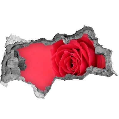 Diera 3D fototapeta na stenu Červená ruža