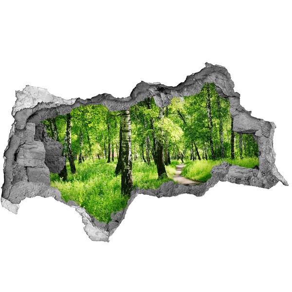 Nálepka fototapeta 3D výhľad Brezového lesa