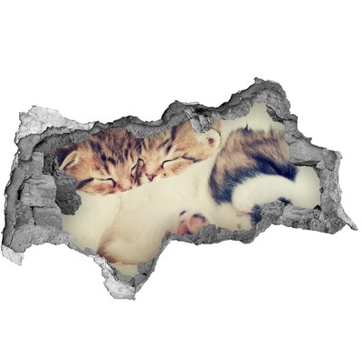 Diera 3D fototapeta na stenu Dve mačky a pes