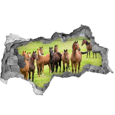 Diera 3D fototapeta nálepka Stádo koní na lúke