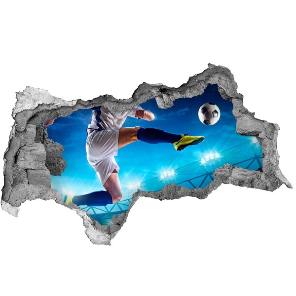 Samolepiaca diera na stenu nálepka Majstrovská strela na ihrisku