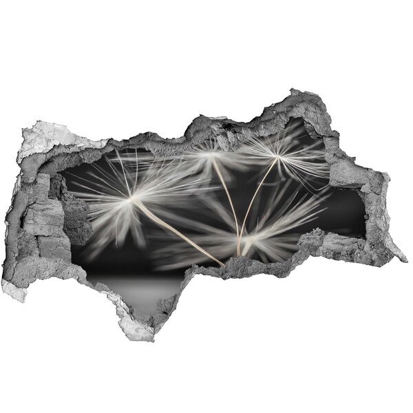 Samolepiaca diera nálepka Kvety púpavy v betóne