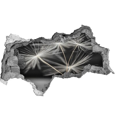 Samolepiaca diera nálepka Kvety púpavy v betóne