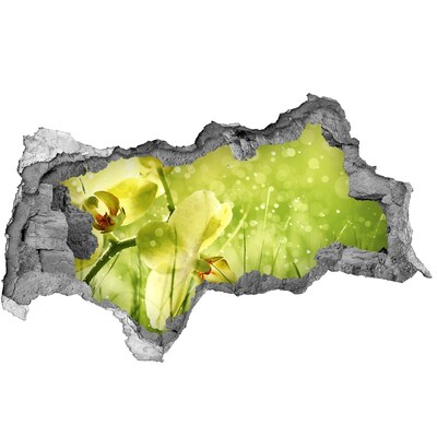 Samolepiaca diera nálepka Kvetinová oáza uprostred zeleni