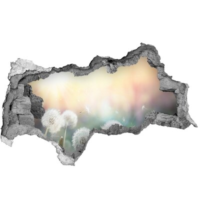 Samolepiaca diera nálepka Kvetinový svet za dierou