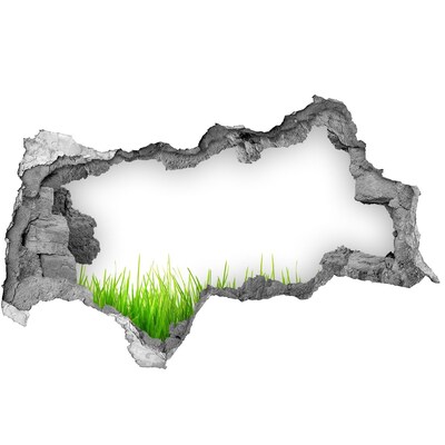 Samolepiaca nálepka Zelená lúka za múrom