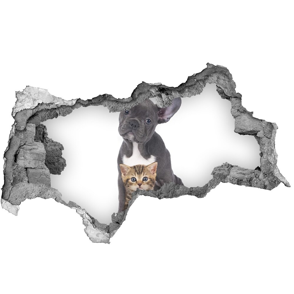 Diera 3D fototapeta na stenu Pes a mačka