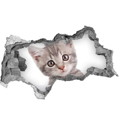 Diera 3D fototapeta na stenu Sivá mačka