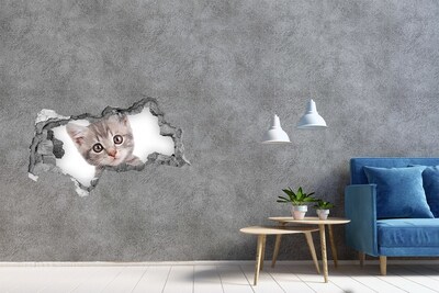 Diera 3D fototapeta na stenu Sivá mačka