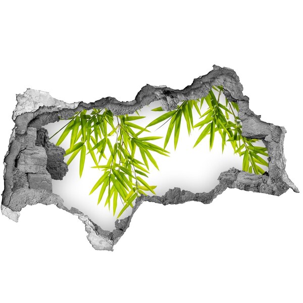 Samolepiaca diera nálepka Zelený bambus cez dieru v stene