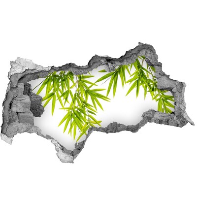 Samolepiaca diera nálepka Zelený bambus cez dieru v stene