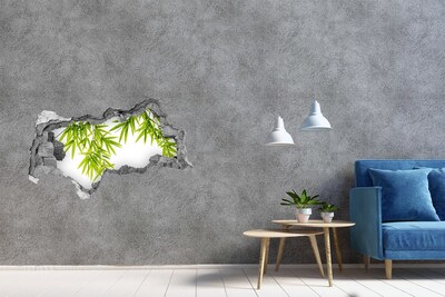 Samolepiaca diera nálepka Zelený bambus cez dieru v stene