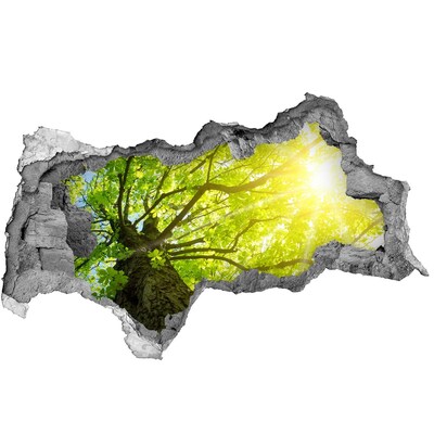 Samolepiaca diera nálepka Zelený les v slnečných lúčoch