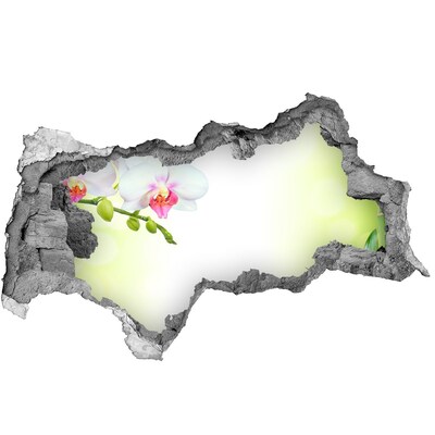 Fototapeta diera na stenu Kvety orchideí v bambusovej záhrade