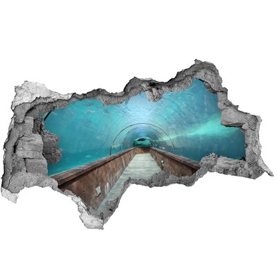 Fototapeta diera na stenu 3D Akvária tunel