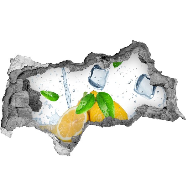 Samolepiaca nálepka Citrónové osvieženie