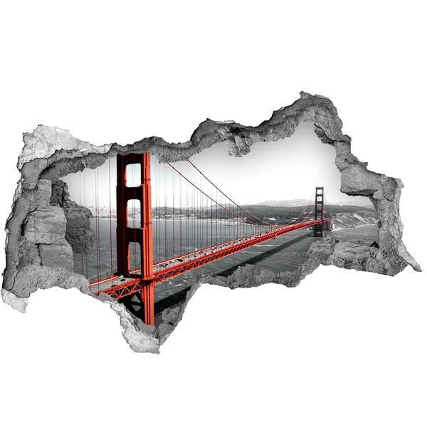 Fototapeta diera na stenu 3D Bridge v san franciscu